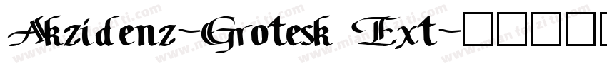 Akzidenz-Grotesk Ext字体转换